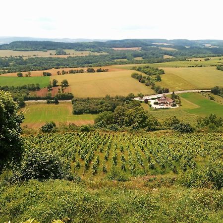 Gite Le Delice Tannay (Nievre) Exterior foto