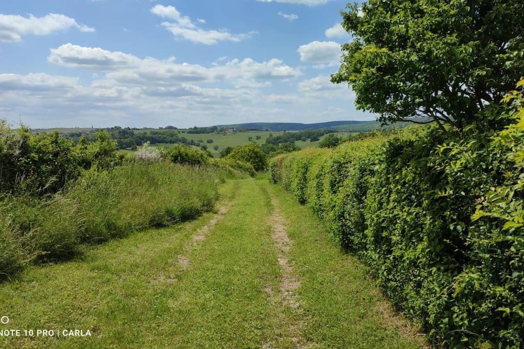 Gite Le Delice Tannay (Nievre) Exterior foto