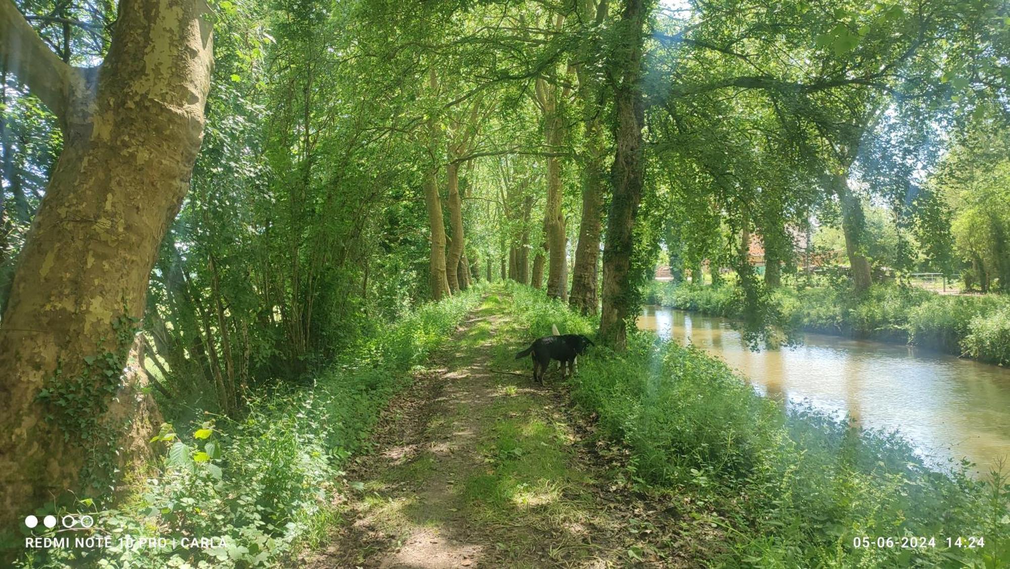 Gite Le Delice Tannay (Nievre) Exterior foto