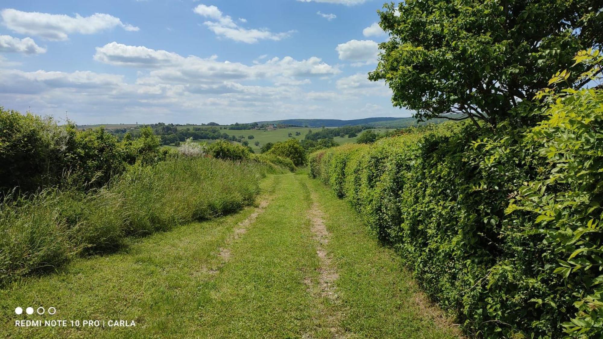 Gite Le Delice Tannay (Nievre) Exterior foto