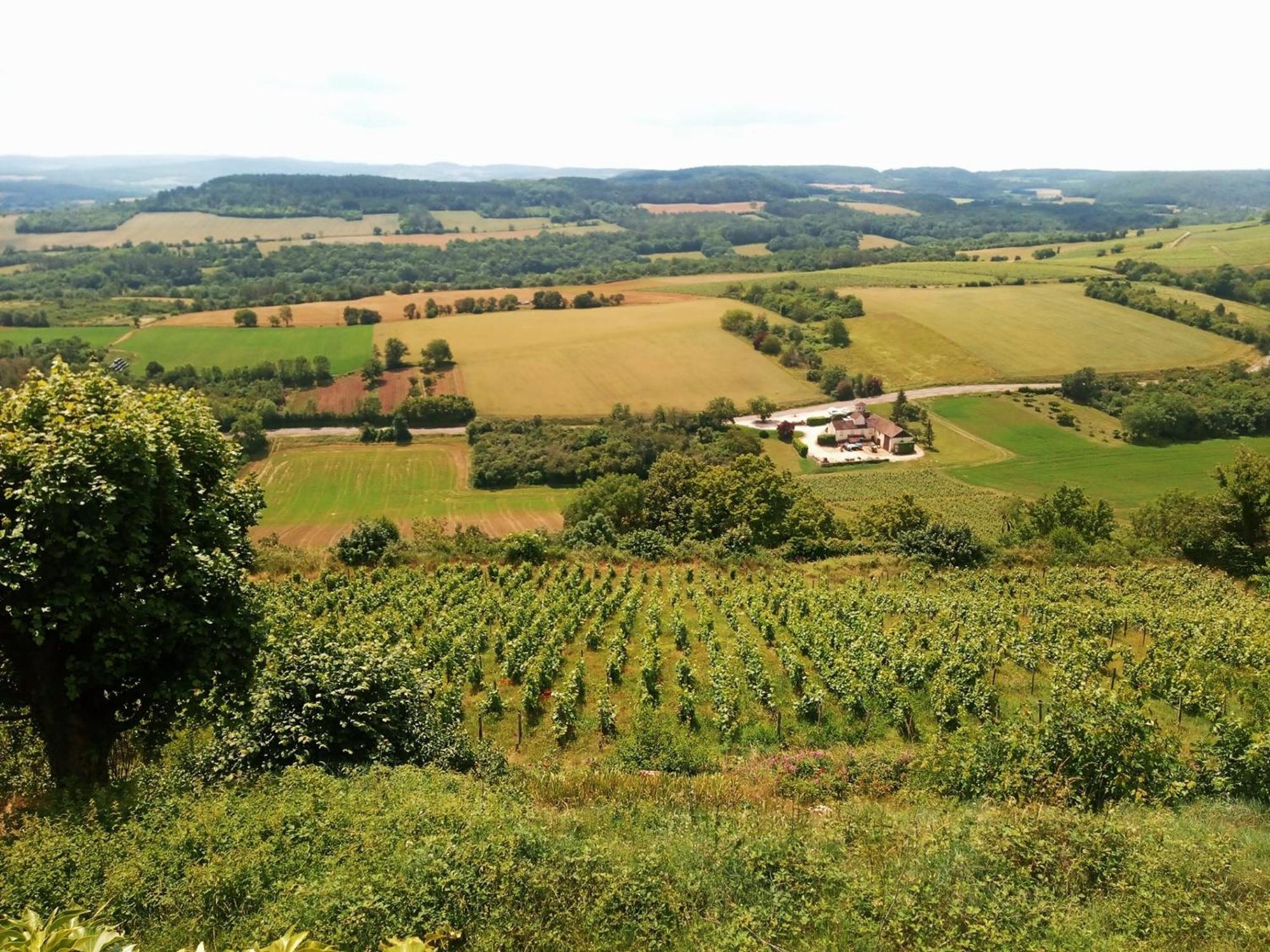 Gite Le Delice Tannay (Nievre) Exterior foto